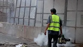 صحة البيئة بصيرة تكثف حملات مكافحة البعوض
