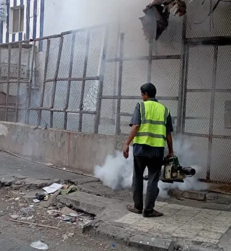 صحة البيئة بصيرة تكثف حملات مكافحة البعوض