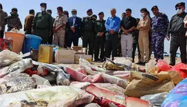 محافظ شبوة يشارك في إتلاف أكبر كمية من المخدرات والمؤثرات العقلية