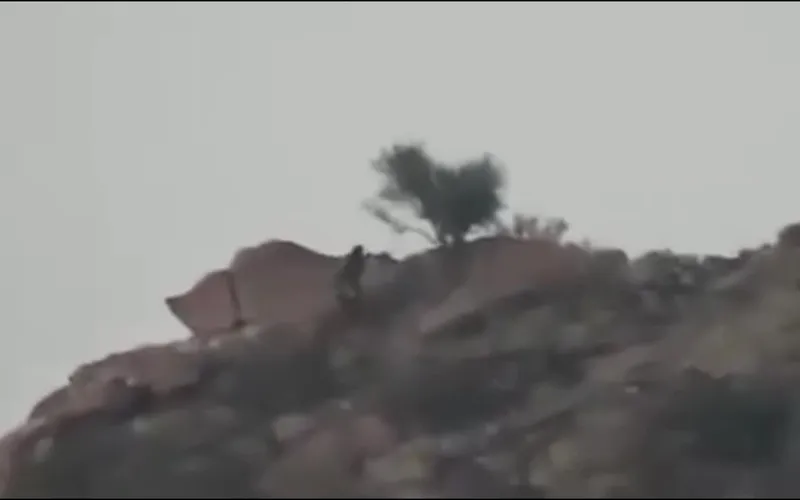 إعلام العمالقة الجنوبية يبث مشاهد لعمليات عسكرية ضد مليشيا الحوثي الإرهابية في جبهة البيضاء