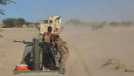 العمالقة الجنوبية تواصل تطهير باب المندب وميون مما تبقى من جيوب لمليشيا الحوثي